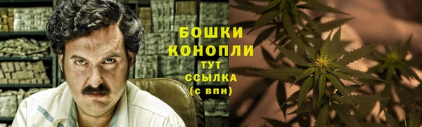 спиды Богданович