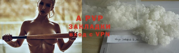 спиды Богданович