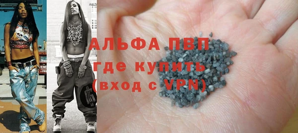 спиды Богданович