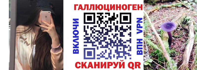 купить наркоту  Новотитаровская  Галлюциногенные грибы мухоморы 