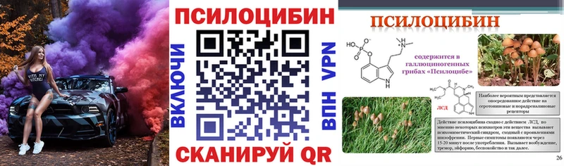 Псилоцибиновые грибы Psilocybine cubensis Новотитаровская